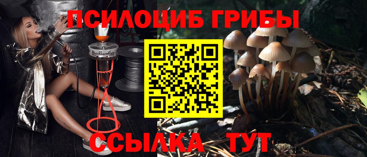 Галлюциногенные грибы мицелий Заволжье
